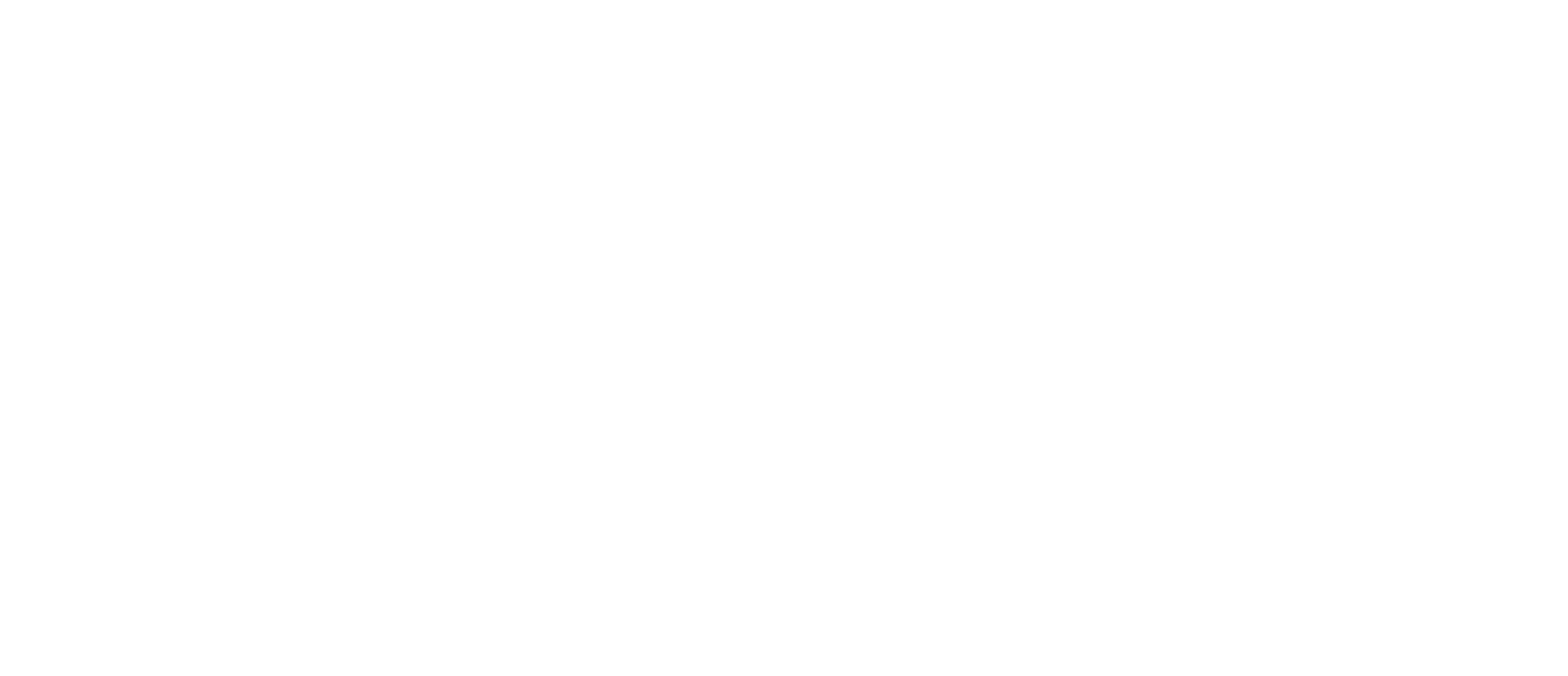 Guide Dogs